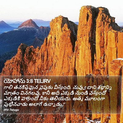 యోహాను 3:8 TELIRV Bible Verse Image