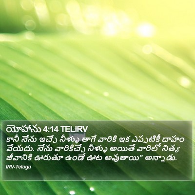 యోహాను 4:14 TELIRV Bible Verse Image
