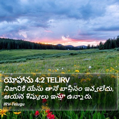 యోహాను 4:2 TELIRV Bible Verse Image