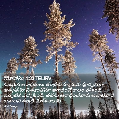 యోహాను 4:23 TELIRV Bible Verse Image