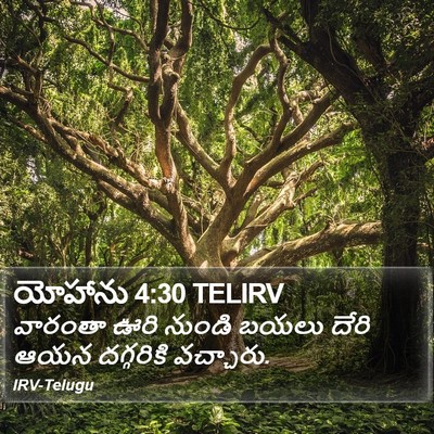 యోహాను 4:30 TELIRV Bible Verse Image