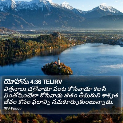 యోహాను 4:36 TELIRV Bible Verse Image