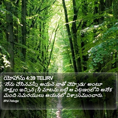 యోహాను 4:39 TELIRV Bible Verse Image