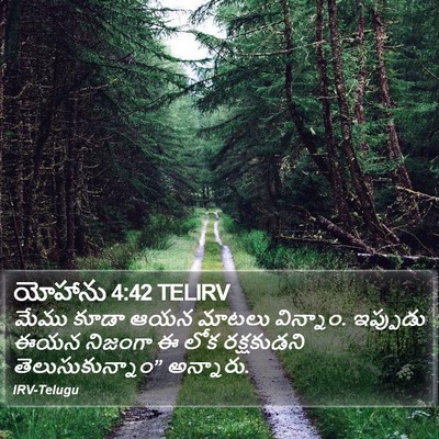 యోహాను 4:42 TELIRV Bible Verse Image