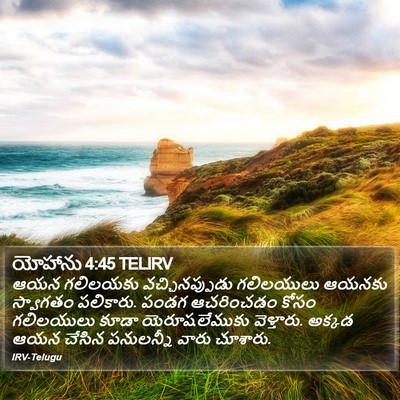 యోహాను 4:45 TELIRV Bible Verse Image