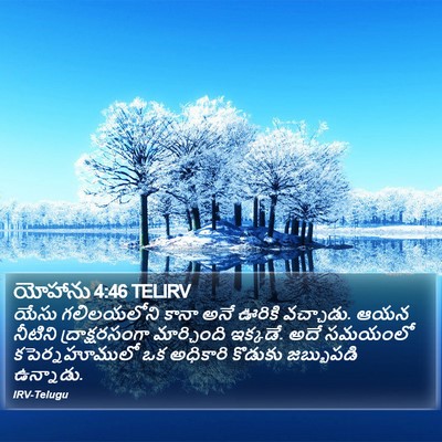 యోహాను 4:46 TELIRV Bible Verse Image