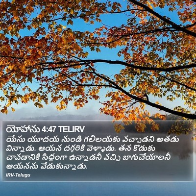 యోహాను 4:47 TELIRV Bible Verse Image