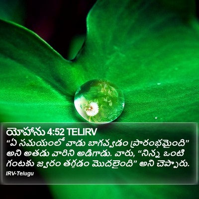 యోహాను 4:52 TELIRV Bible Verse Image