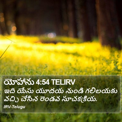 యోహాను 4:54 TELIRV Bible Verse Image