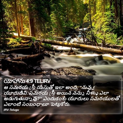 యోహాను 4:9 TELIRV Bible Verse Image
