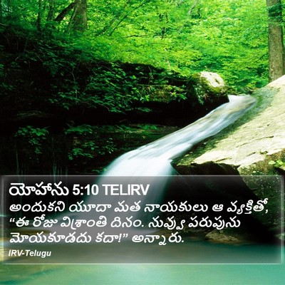 యోహాను 5:10 TELIRV Bible Verse Image