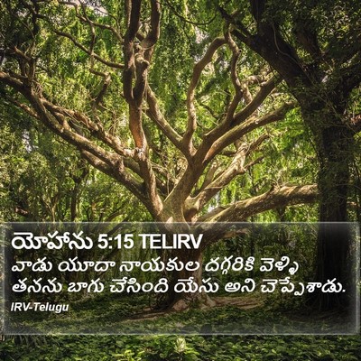 యోహాను 5:15 TELIRV Bible Verse Image