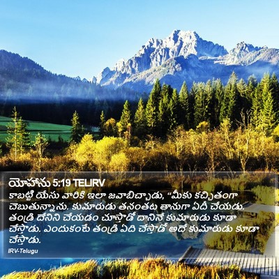 యోహాను 5:19 TELIRV Bible Verse Image