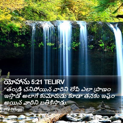యోహాను 5:21 TELIRV Bible Verse Image