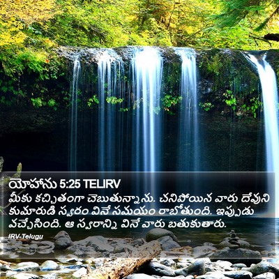 యోహాను 5:25 TELIRV Bible Verse Image