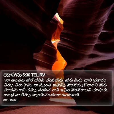 యోహాను 5:30 TELIRV Bible Verse Image