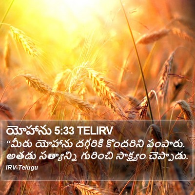 యోహాను 5:33 TELIRV Bible Verse Image