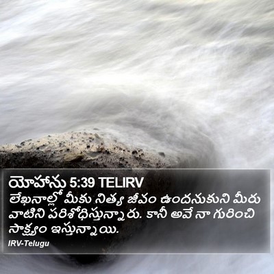 యోహాను 5:39 TELIRV Bible Verse Image