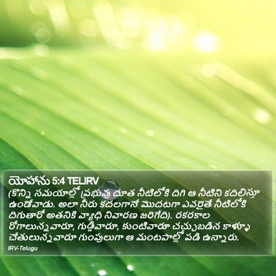 యోహాను 5:4 TELIRV Bible Verse Image