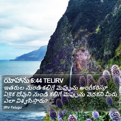 యోహాను 5:44 TELIRV Bible Verse Image