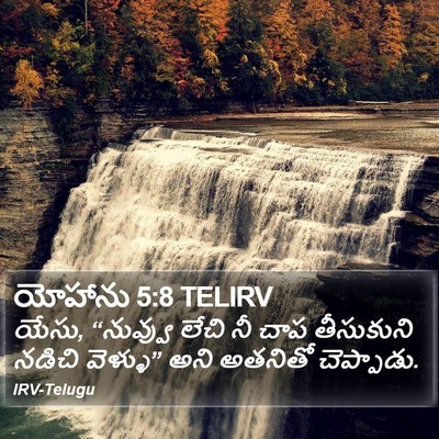 యోహాను 5:8 TELIRV Bible Verse Image