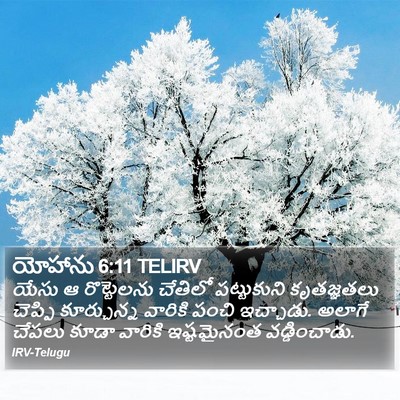 యోహాను 6:11 TELIRV Bible Verse Image