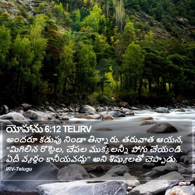 యోహాను 6:12 TELIRV Bible Verse Image