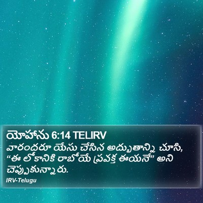 యోహాను 6:14 TELIRV Bible Verse Image