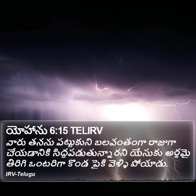 యోహాను 6:15 TELIRV Bible Verse Image
