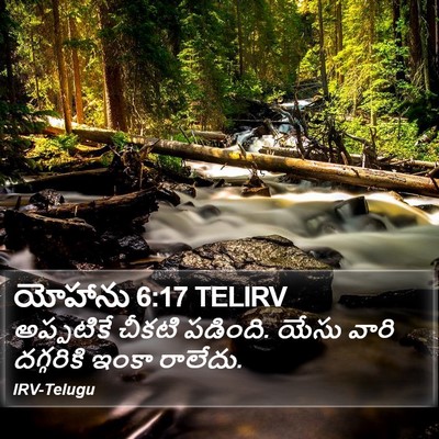 యోహాను 6:17 TELIRV Bible Verse Image