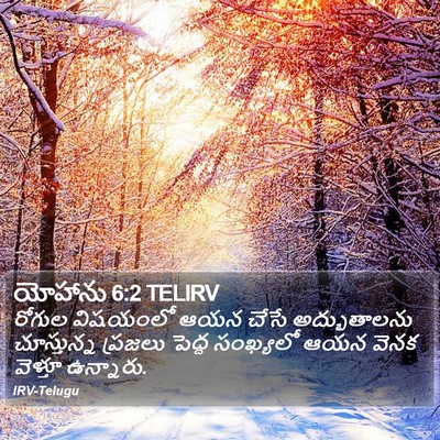 యోహాను 6:2 TELIRV Bible Verse Image