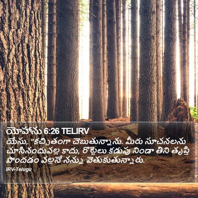 యోహాను 6:26 TELIRV Bible Verse Image