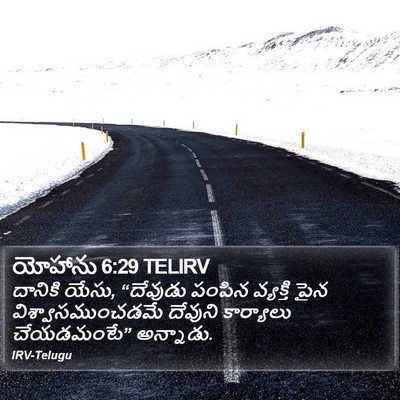 యోహాను 6:29 TELIRV Bible Verse Image