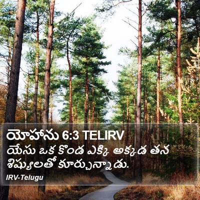 యోహాను 6:3 TELIRV Bible Verse Image