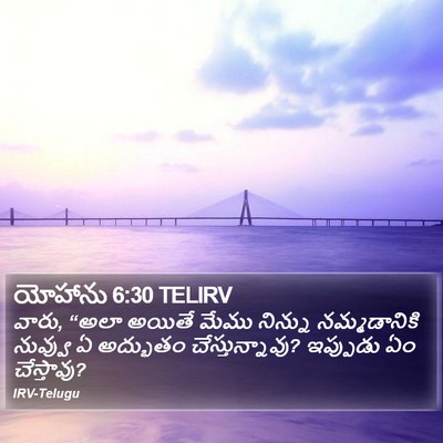 యోహాను 6:30 TELIRV Bible Verse Image
