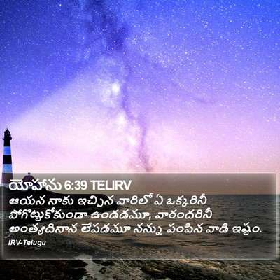 యోహాను 6:39 TELIRV Bible Verse Image