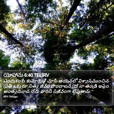 యోహాను 6:40 TELIRV Bible Verse Image
