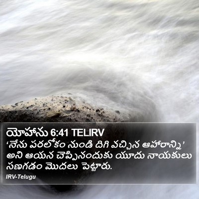 యోహాను 6:41 TELIRV Bible Verse Image