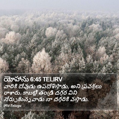 యోహాను 6:45 TELIRV Bible Verse Image