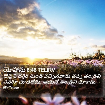 యోహాను 6:46 TELIRV Bible Verse Image