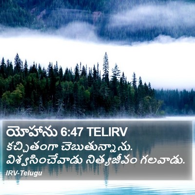 యోహాను 6:47 TELIRV Bible Verse Image