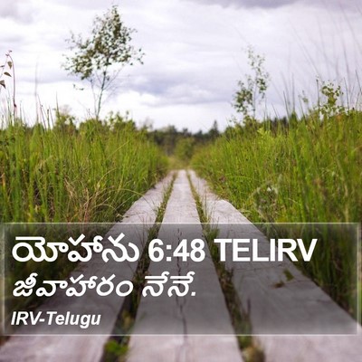 యోహాను 6:48 TELIRV Bible Verse Image
