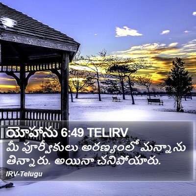 యోహాను 6:49 TELIRV Bible Verse Image