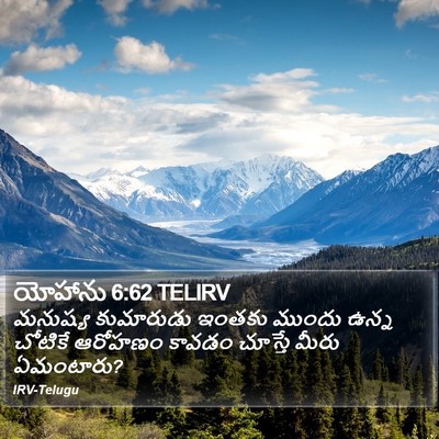 యోహాను 6:62 TELIRV Bible Verse Image