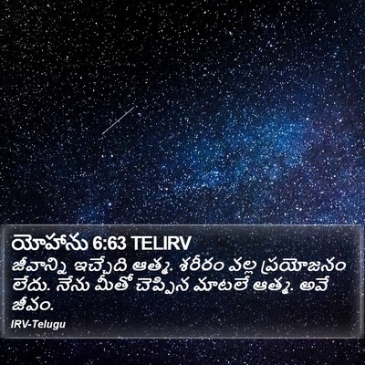 యోహాను 6:63 TELIRV Bible Verse Image