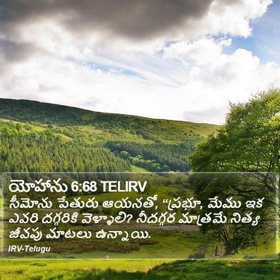 యోహాను 6:68 TELIRV Bible Verse Image
