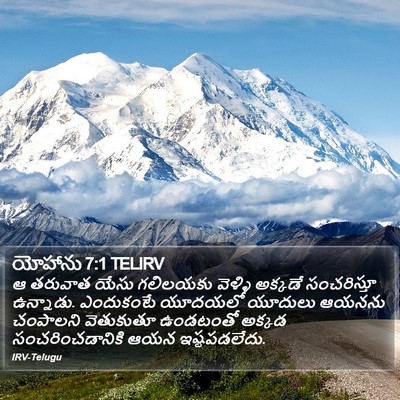యోహాను 7:1 TELIRV Bible Verse Image