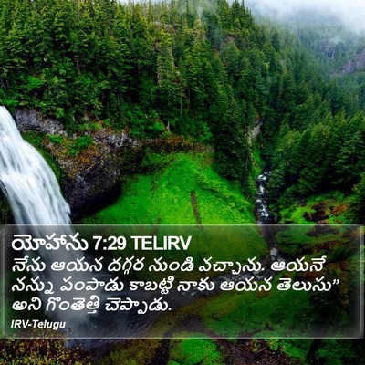 యోహాను 7:29 TELIRV Bible Verse Image