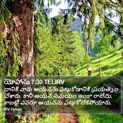 యోహాను 7:30 TELIRV Bible Verse Image