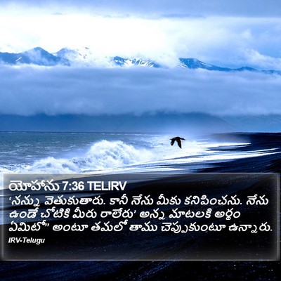 యోహాను 7:36 TELIRV Bible Verse Image